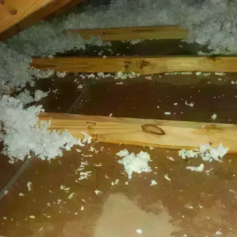 Attic Water Damage in Roanoke, AL